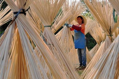 山区竹产地转型促增收 江西婺源竹木制品产业的振兴之路